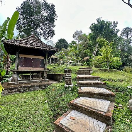 Willa Oemah Tepi Sawah Jatiluwih Zewnętrze zdjęcie