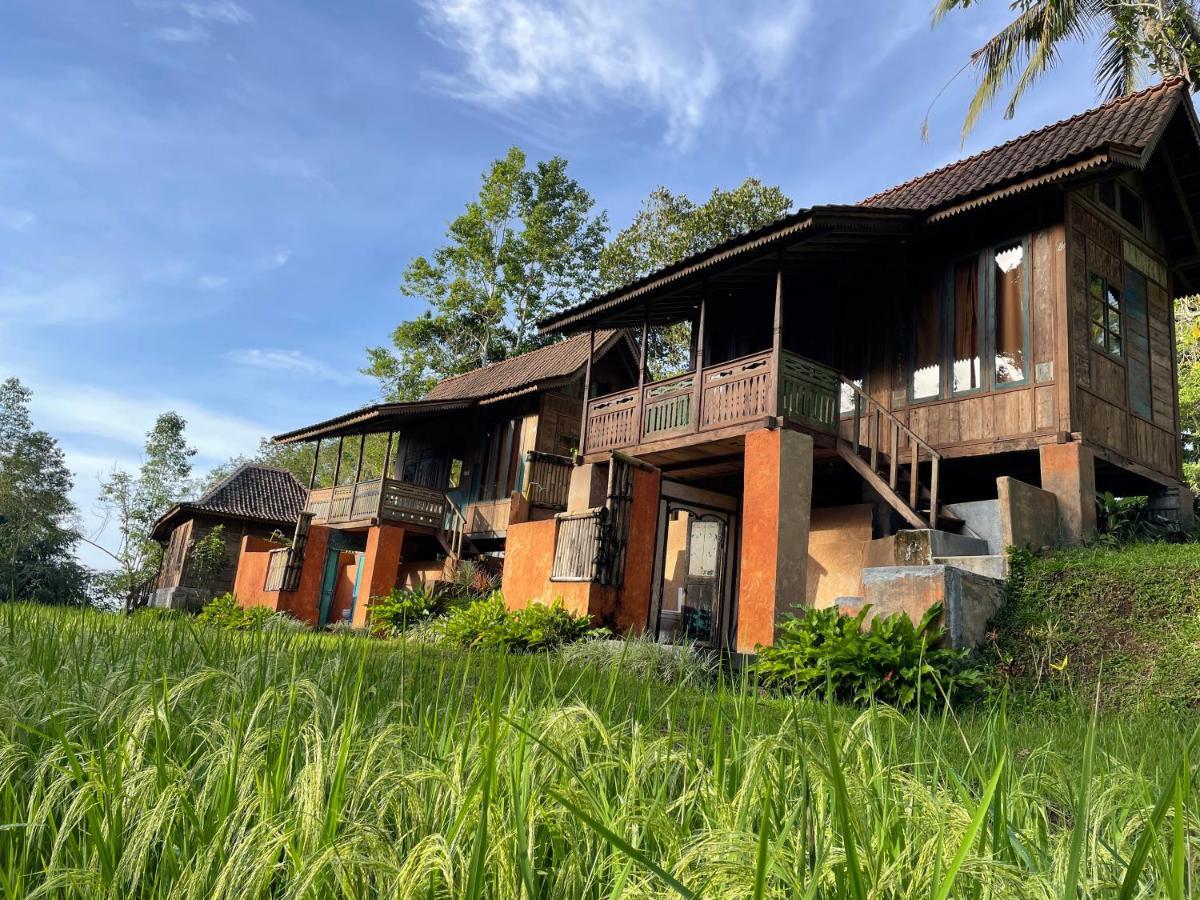 Willa Oemah Tepi Sawah Jatiluwih Zewnętrze zdjęcie