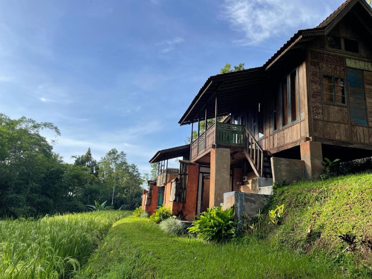 Willa Oemah Tepi Sawah Jatiluwih Zewnętrze zdjęcie