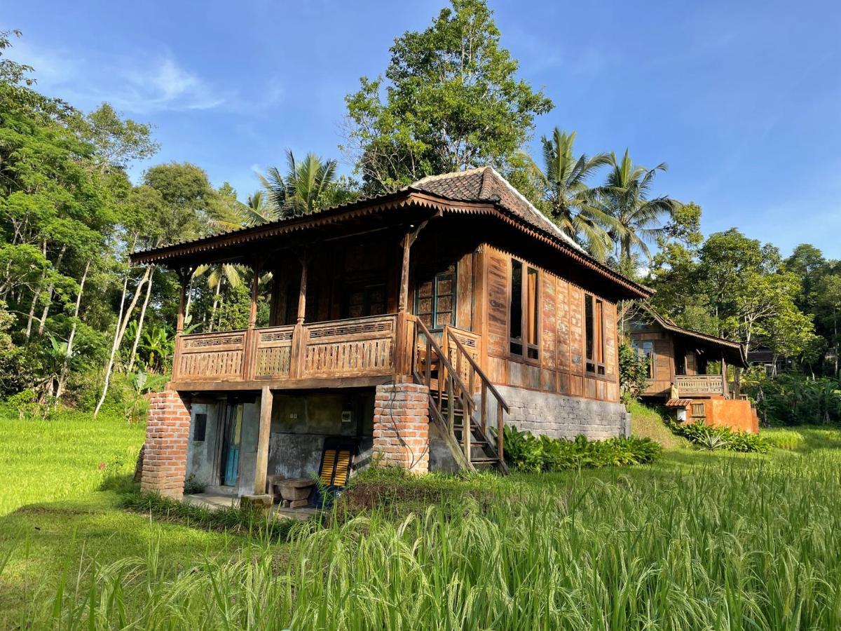 Willa Oemah Tepi Sawah Jatiluwih Zewnętrze zdjęcie