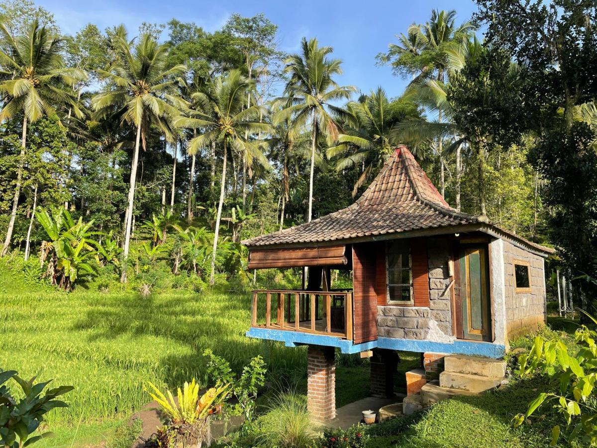 Willa Oemah Tepi Sawah Jatiluwih Zewnętrze zdjęcie