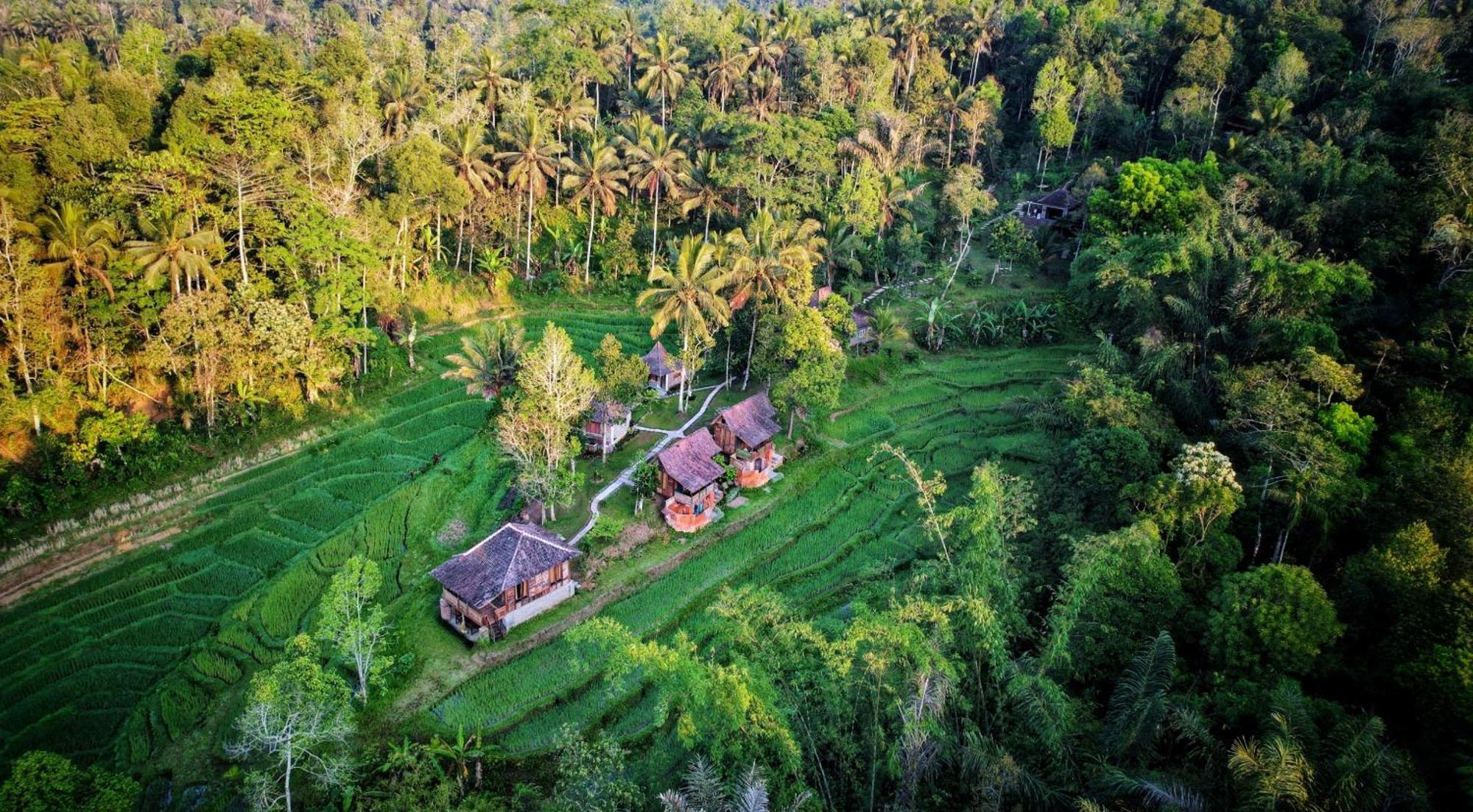 Willa Oemah Tepi Sawah Jatiluwih Zewnętrze zdjęcie